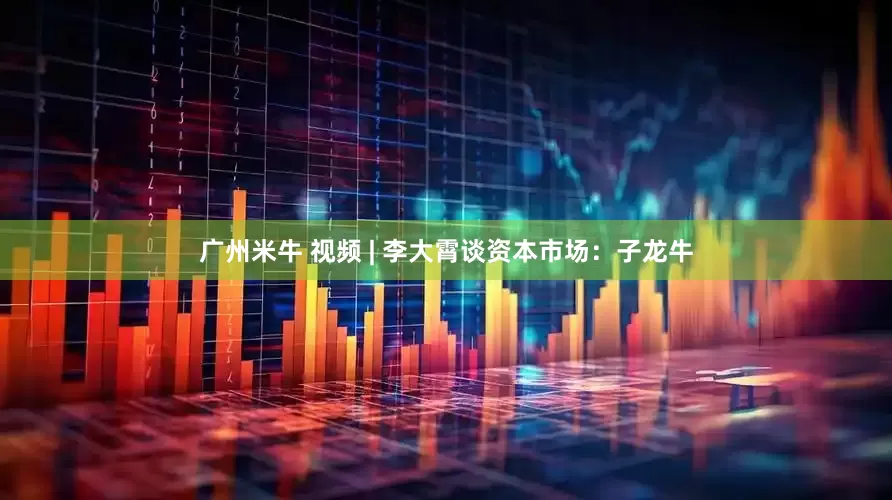 广州米牛 视频 | 李大霄谈资本市场：子龙牛