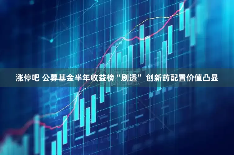涨停吧 公募基金半年收益榜“剧透” 创新药配置价值凸显