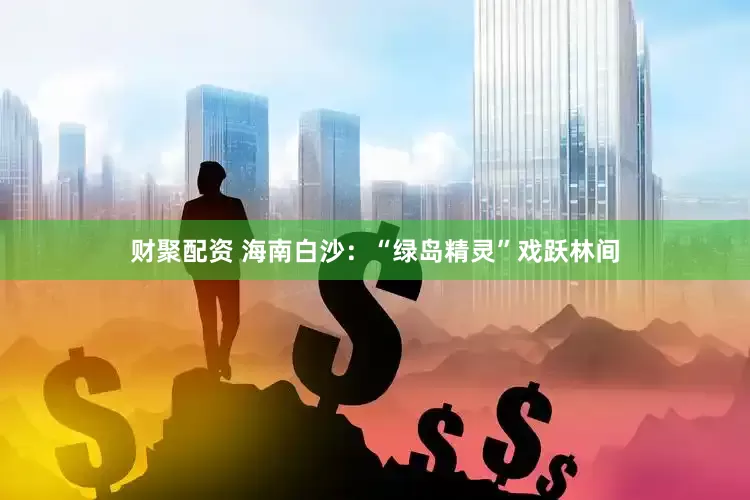 财聚配资 海南白沙：“绿岛精灵”戏跃林间