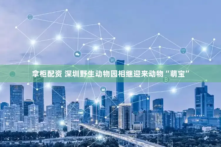 拿柜配资 深圳野生动物园相继迎来动物“萌宝”
