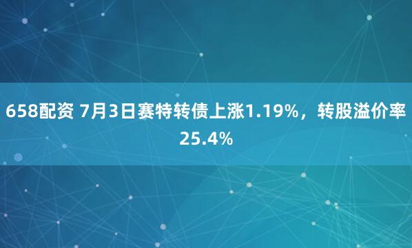 658配资 7月3日赛特转债上涨1.19%，转股溢价率25.4%