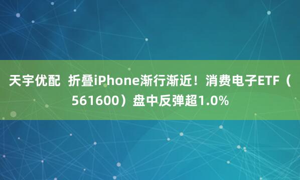 天宇优配  折叠iPhone渐行渐近！消费电子ETF（561600）盘中反弹超1.0%