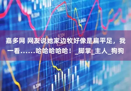 嘉多网 网友说她家边牧好像是扁平足，我一看……哈哈哈哈哈！_脚掌_主人_狗狗