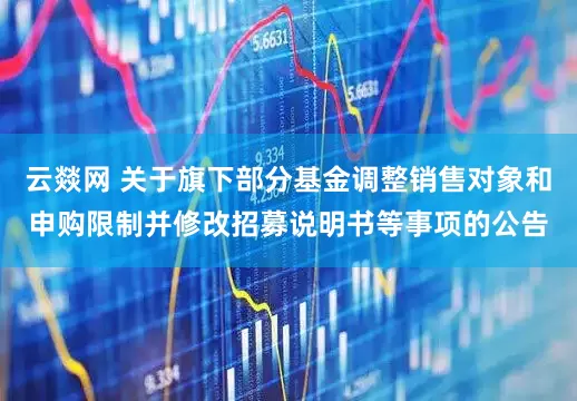 云燚网 关于旗下部分基金调整销售对象和申购限制并修改招募说明书等事项的公告